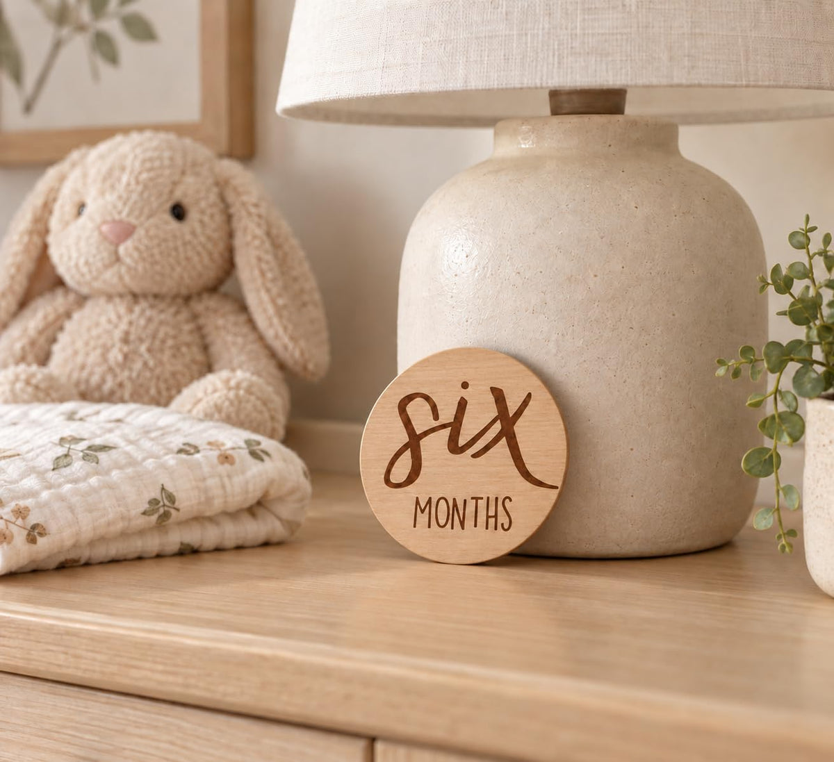 Baby Milestone Markers, Baby Age Milestone Keepsakes and Photo Props