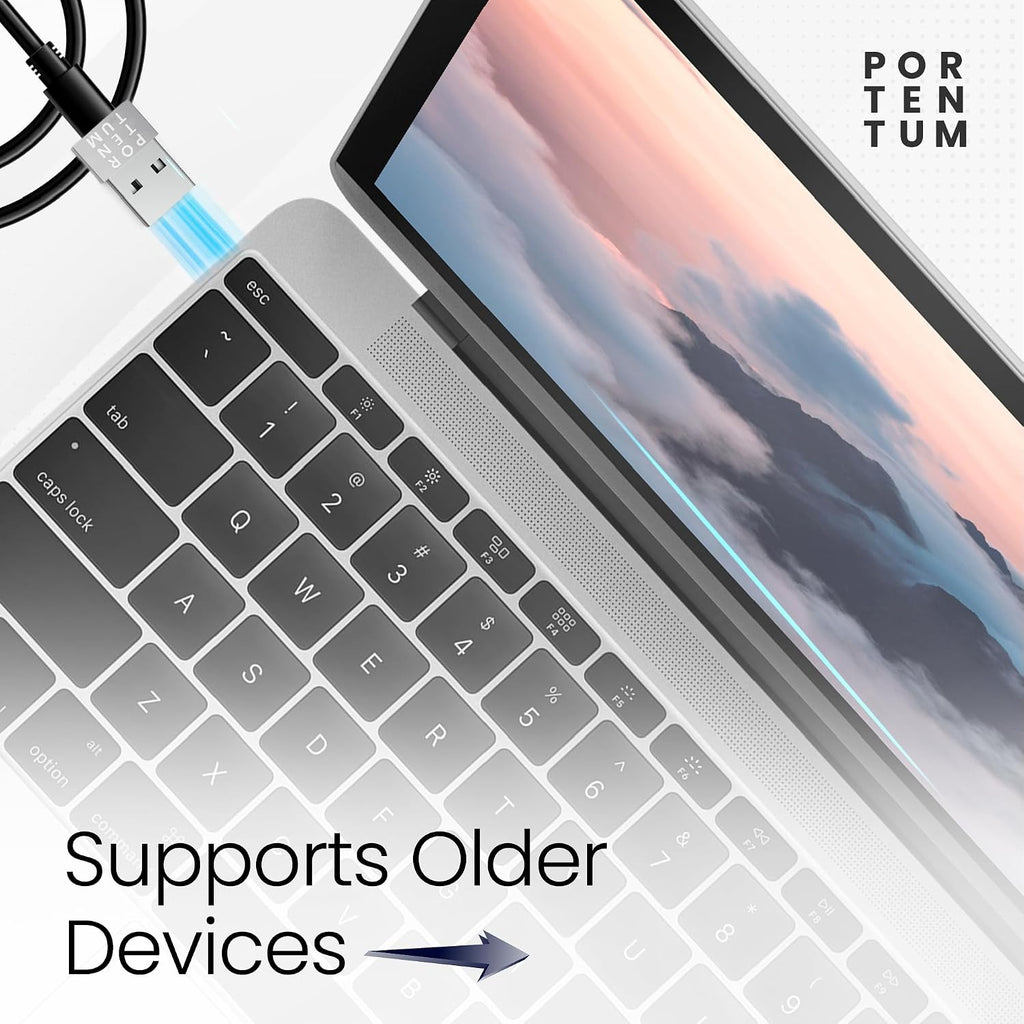 USB C to USB Adaptor - 480 MB Speed - Premium Zinc Allow with High Heat Resistance - USB to USB C Adapter with Only 4 Grams - Silver